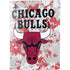 NBA Chicago Bulls Digi Camo PS5 Digital Edition Bundle Skin