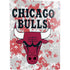 NBA Chicago Bulls Digi Camo PS5 Digital Edition Bundle Skin