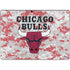 NBA Chicago Bulls Digi Camo Surface Pro 9 Skin
