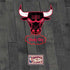NBA Chicago Bulls Hardwood Classics Nintendo 2DS XL (2017) Skin