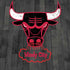NBA Chicago Bulls Hardwood Classics iPhone XS Max Skin