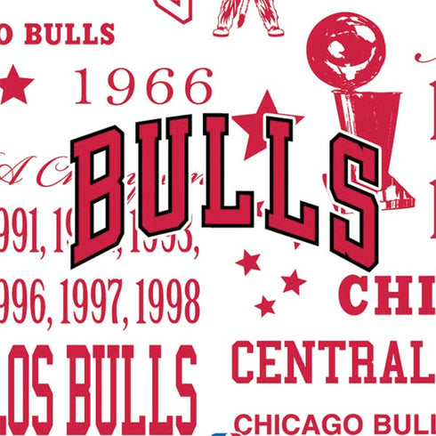 NBA Chicago Bulls Historic Blast Nintendo 2DS XL (2017) Skin