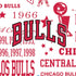 NBA Chicago Bulls Historic Blast Nintendo 2DS XL (2017) Skin