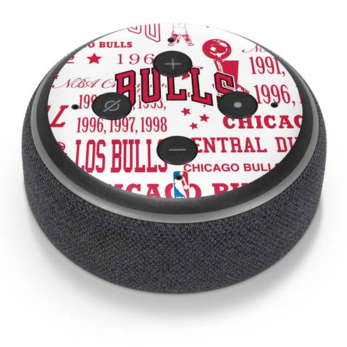NBA Chicago Bulls Historic Blast Amazon Echo Dot Skin