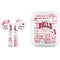 NBA Chicago Bulls Historic Blast Apple AirPods Skin
