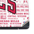NBA Chicago Bulls Historic Blast Dell Vostro Skin