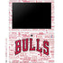NBA Chicago Bulls Historic Blast Galaxy Book 12in Skin