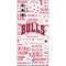 NBA Chicago Bulls Historic Blast Galaxy Note 10 Plus Skin