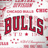 NBA Chicago Bulls Historic Blast Galaxy Note 8 Skin