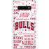 NBA Chicago Bulls Historic Blast Galaxy S10 Plus Skin