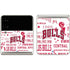 NBA Chicago Bulls Historic Blast Galaxy Z Flip3 5G Skin