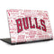 NBA Chicago Bulls Historic Blast Dell Inspiron Skin