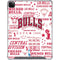 NBA Chicago Bulls Historic Blast iPad Cases