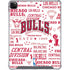 NBA Chicago Bulls Historic Blast iPad Cases