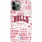 NBA Chicago Bulls Historic Blast iPhone 11 Pro Lite Case