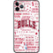 NBA Chicago Bulls Historic Blast iPhone 11 Pro Max Skin