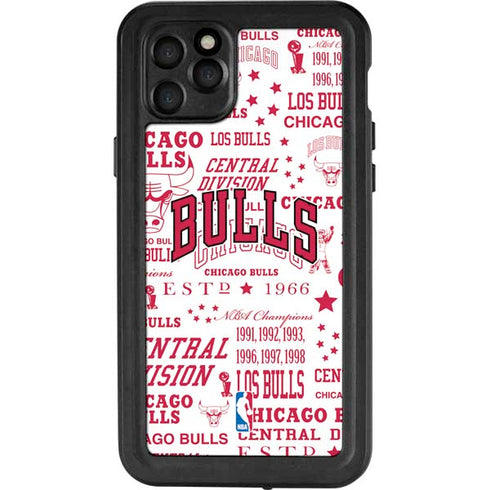NBA Chicago Bulls Historic Blast iPhone 11 Pro Max Waterproof Case