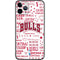 NBA Chicago Bulls Historic Blast iPhone 11 Pro Skin