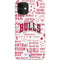NBA Chicago Bulls Historic Blast iPhone 12 Mini Lite Case