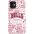 NBA Chicago Bulls Historic Blast iPhone 12 Mini Lite Case