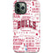 NBA Chicago Bulls Historic Blast iPhone 12 Pro Impact Case