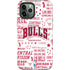 NBA Chicago Bulls Historic Blast iPhone 12 Pro Impact Case