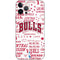 NBA Chicago Bulls Historic Blast iPhone 12 Pro Max Skin