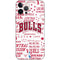 NBA Chicago Bulls Historic Blast iPhone 12 Pro Skin