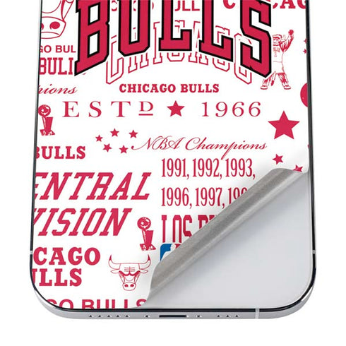 NBA Chicago Bulls Historic Blast iPhone 12 Pro Skin