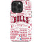 NBA Chicago Bulls Historic Blast iPhone 13 Pro Impact Case
