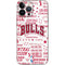 NBA Chicago Bulls Historic Blast iPhone 13 Pro Max Skin