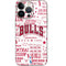 NBA Chicago Bulls Historic Blast iPhone 13 Pro Skin