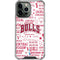 NBA Chicago Bulls Historic Blast iPhone 14 Pro Max Clear Case