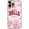 NBA Chicago Bulls Historic Blast iPhone 14 Pro Max Skin