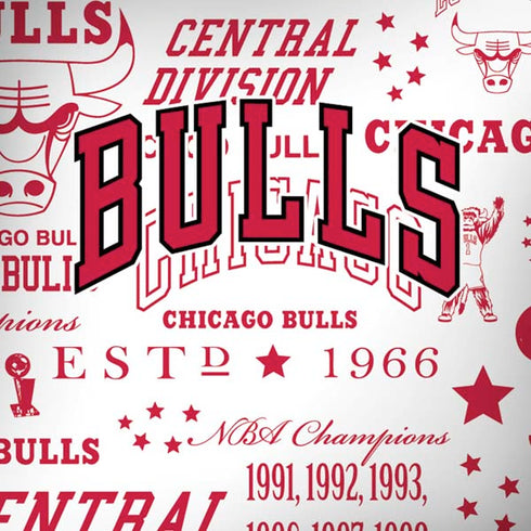 NBA Chicago Bulls Historic Blast iPhone X Pro Case