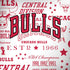NBA Chicago Bulls Historic Blast iPhone X Pro Case