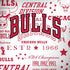 NBA Chicago Bulls Historic Blast iPhone X Skin