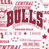 NBA Chicago Bulls Historic Blast iPhone XR Pro Case