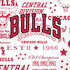 NBA Chicago Bulls Historic Blast iPhone XR Skin