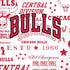 NBA Chicago Bulls Historic Blast iPhone XS Pro Case
