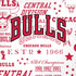 NBA Chicago Bulls Historic Blast iPhone XS Skin
