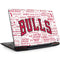 NBA Chicago Bulls Historic Blast Legion Y720 Skin