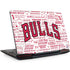 NBA Chicago Bulls Historic Blast Legion Y720 Skin