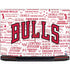 NBA Chicago Bulls Historic Blast Legion Y720 Skin
