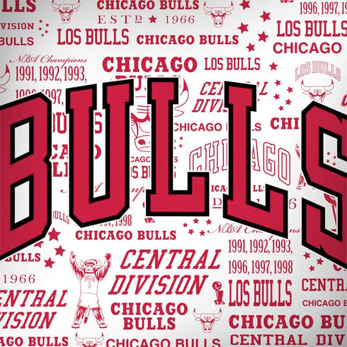 NBA Chicago Bulls Historic Blast Legion Y720 Skin