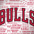 NBA Chicago Bulls Historic Blast Legion Y720 Skin