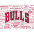 NBA Chicago Bulls Historic Blast MacBook Skins