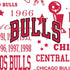 NBA Chicago Bulls Historic Blast Moto E5 Play Skin
