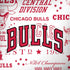 NBA Chicago Bulls Historic Blast Moto G6 Skin