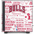 NBA Chicago Bulls Historic Blast NZXT H510 Compact ATX Mid-Tower Case Skin